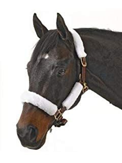 Basic Fleece 4-Piece Halter Tube Set