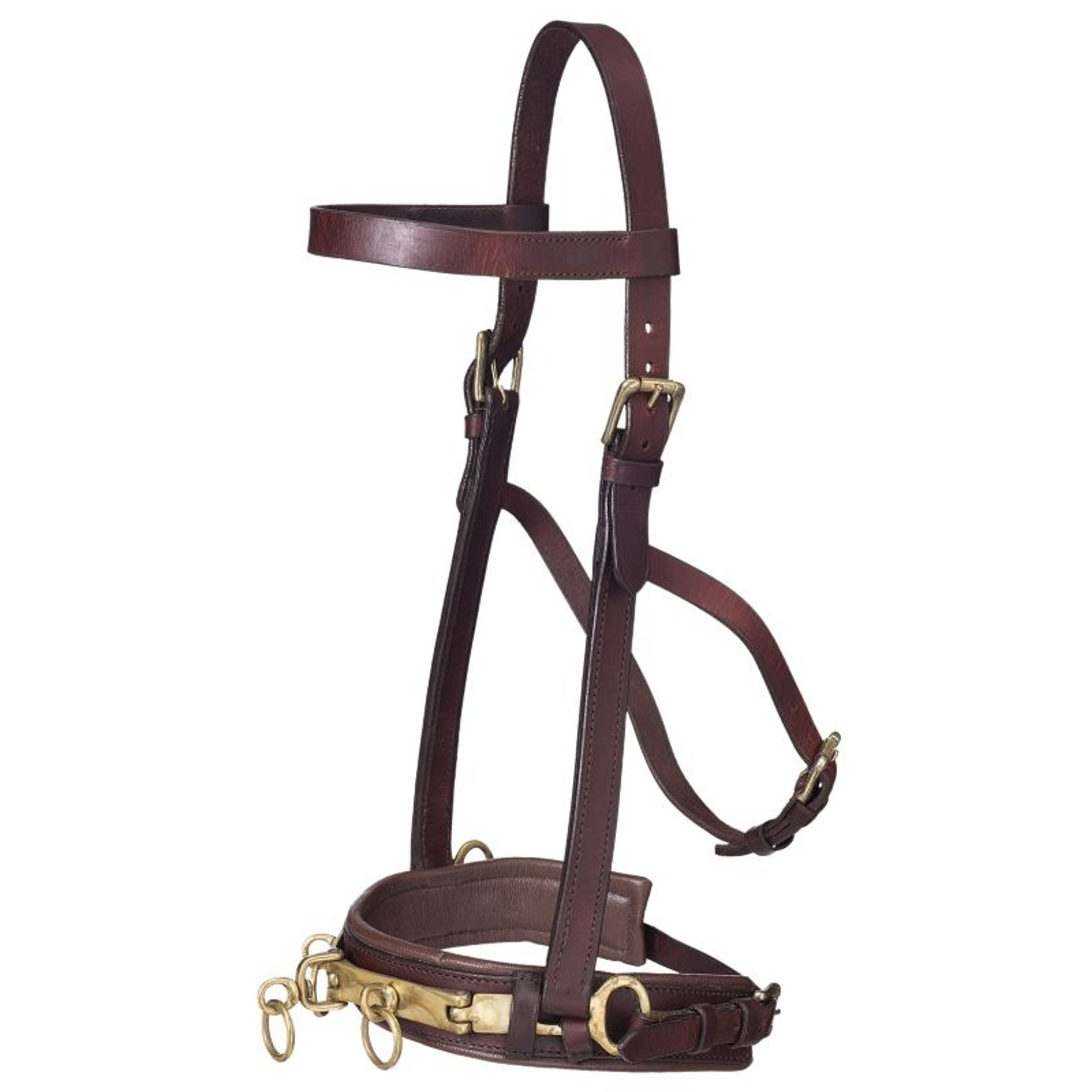 Tough1 Leather Lunging Caveson