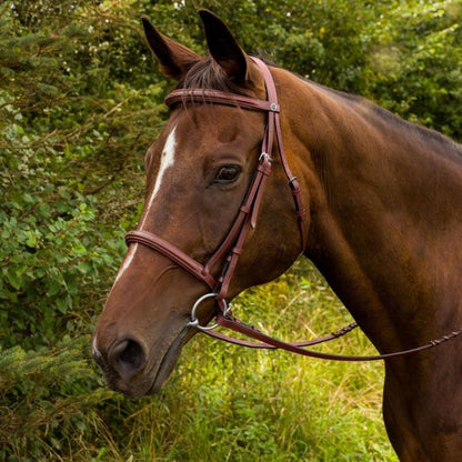HDR Advantage Fancy Raised Bridle