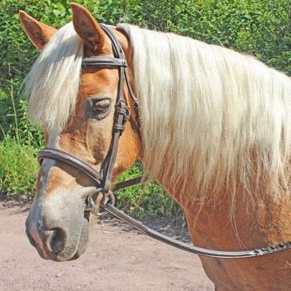 HDR Pro Fancy Raised Comfort Crown Padded Bridle