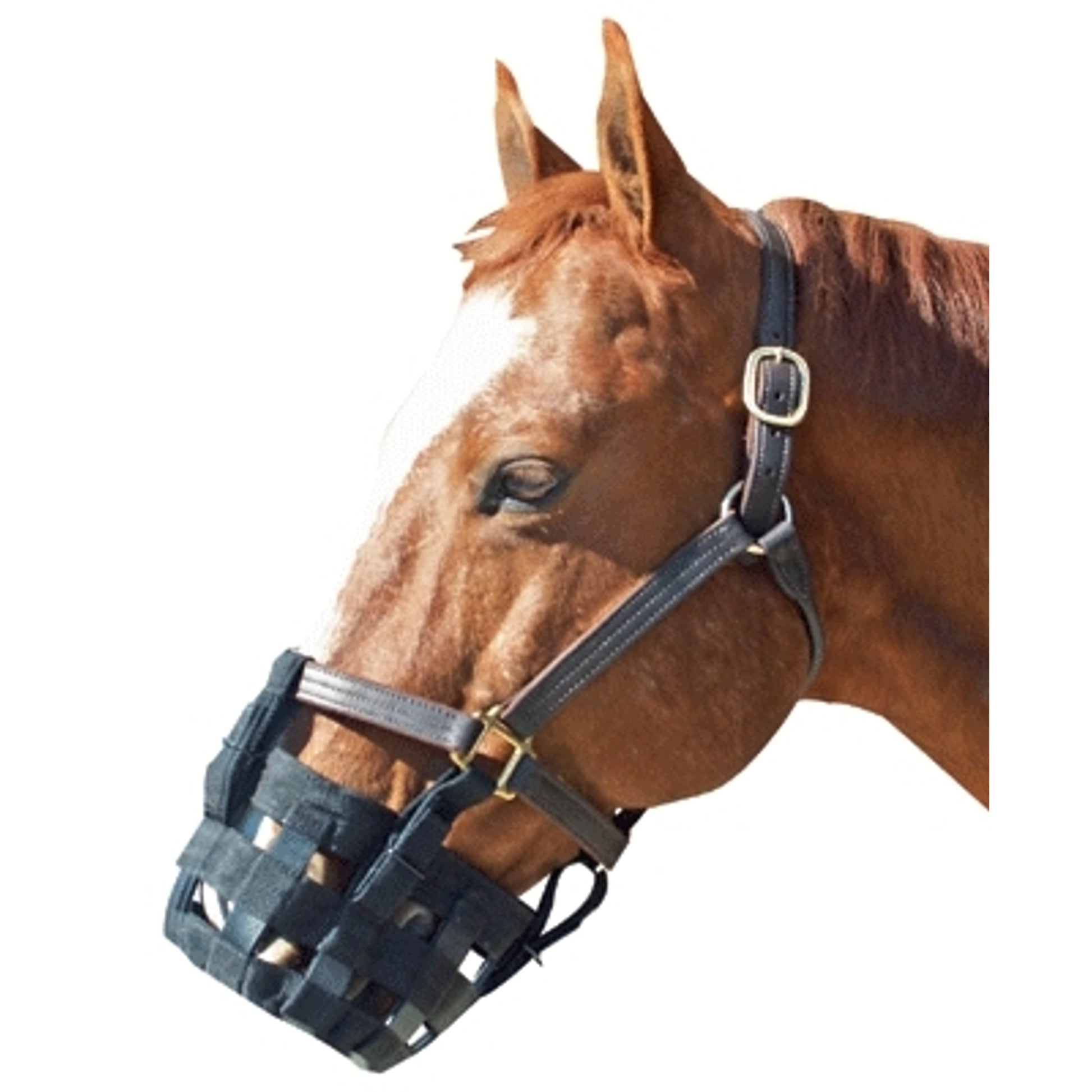 The Grazing Muzzle