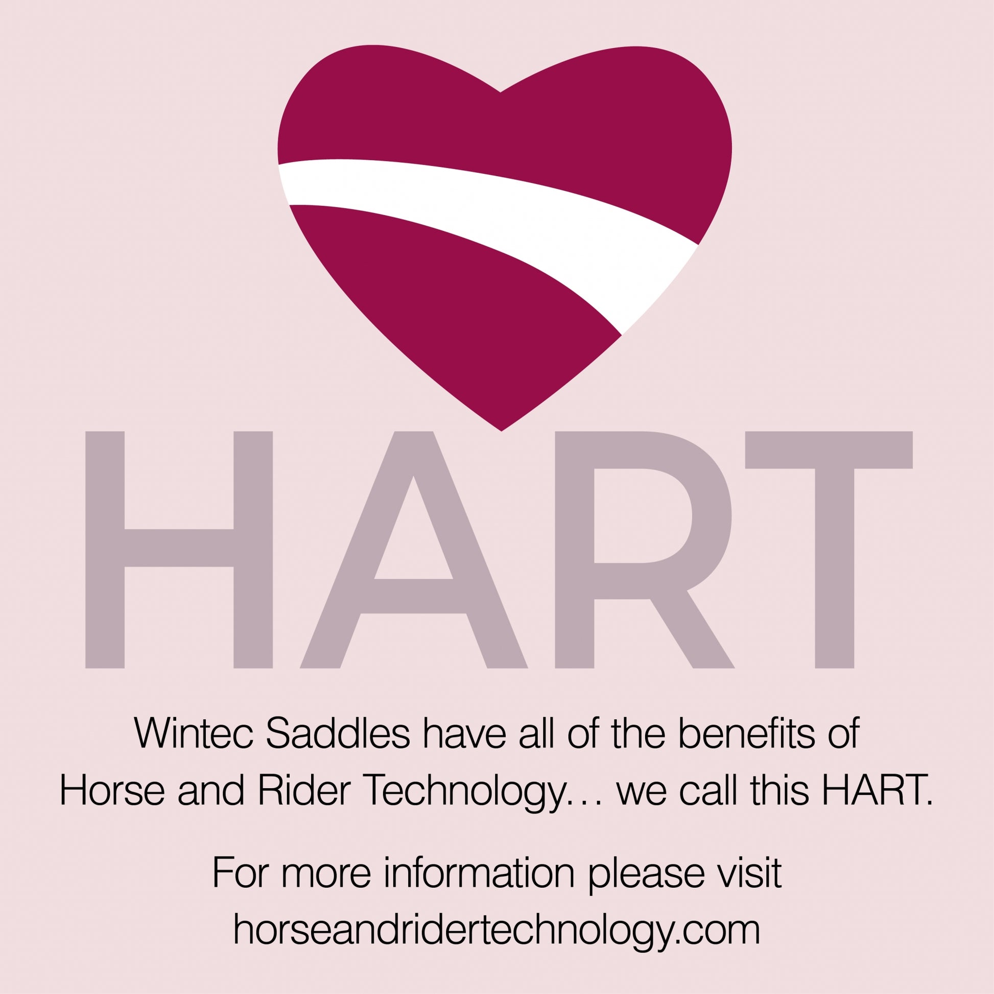 DEMO - Wintec Pro Endurance HART Saddle
