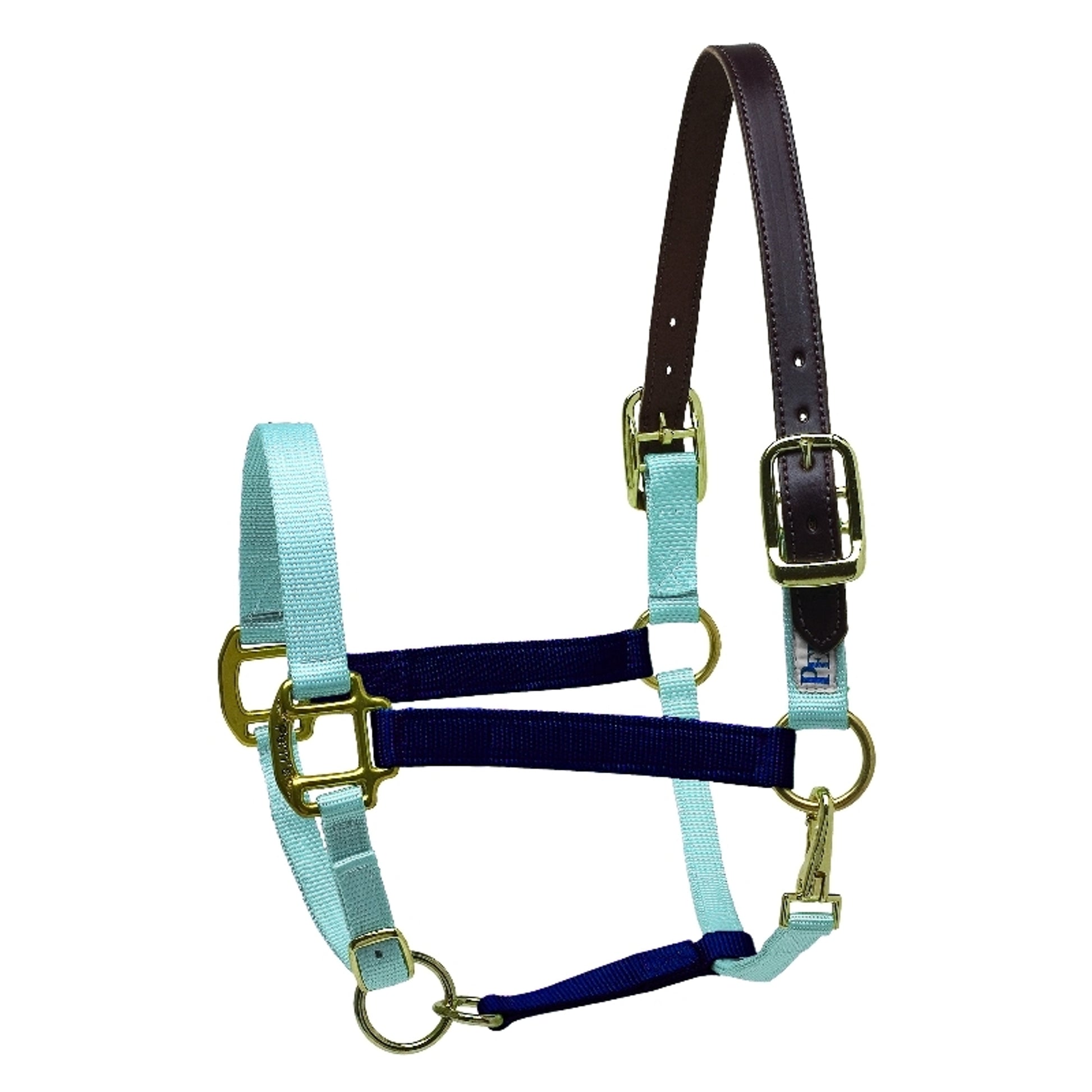 Perri's Color Vision Halter