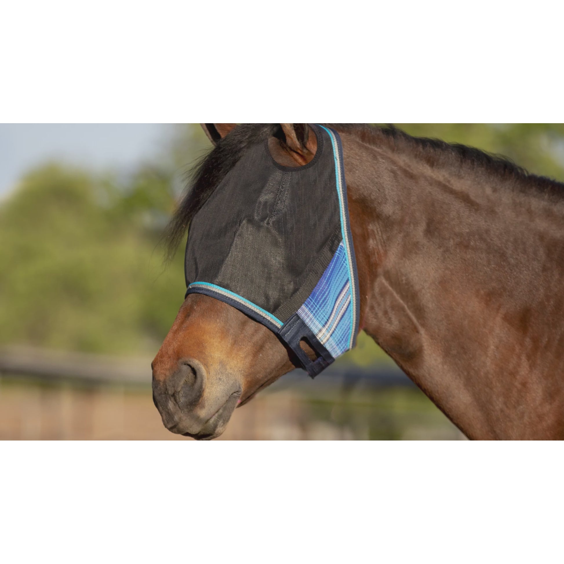 Kensington 90% UV Fly Mask CatchMask UViator - without Ears & Forelock Freedom